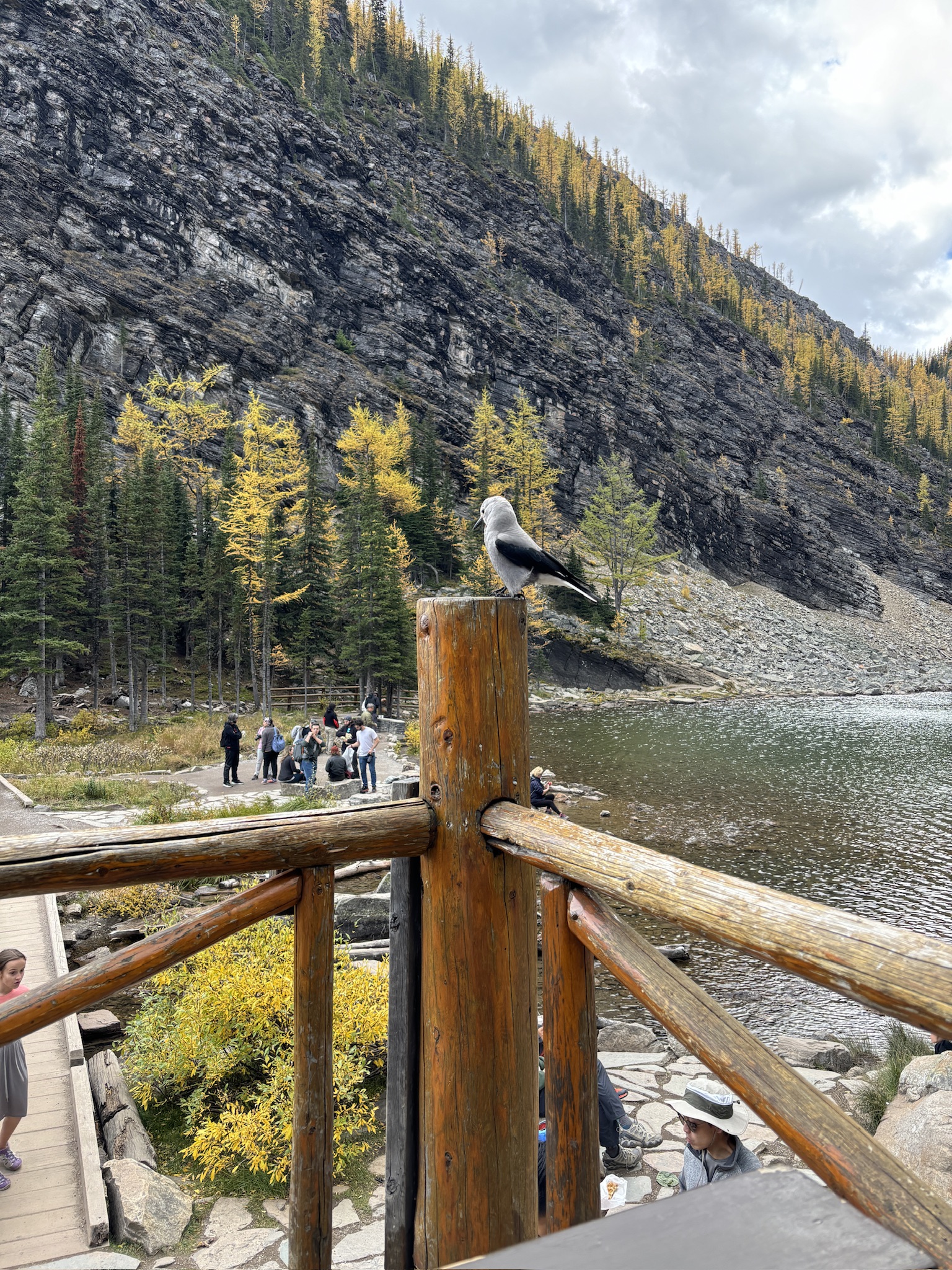 Lake Louise Panoramic View